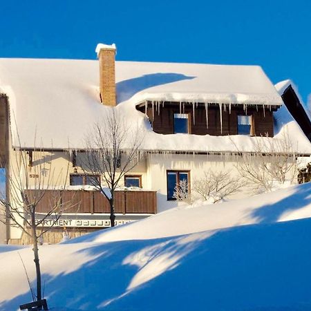 Apartments in Harrachov/Riesengebirge 2300 Buitenkant foto
